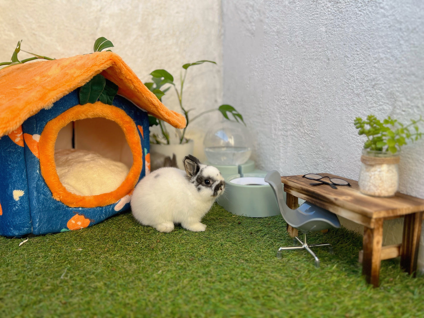 Foldable Dog House Bed