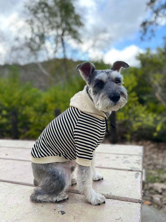 Black and White Striped Hoodie