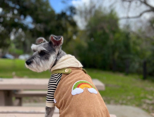 Brown Overall with Rainbow